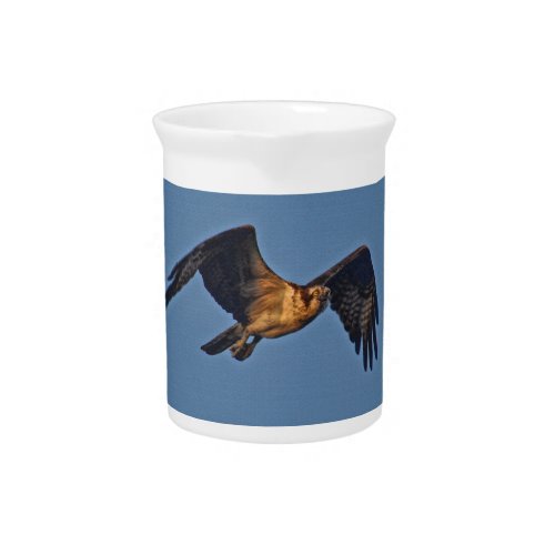 Osprey Fish Eagle Flying at Sunset Drink Pitcher