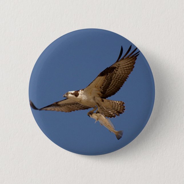 Osprey Fisher Button (Front)