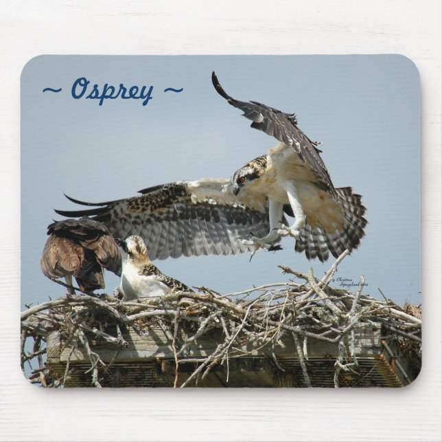 Osprey flying nest Mousepad (Front)