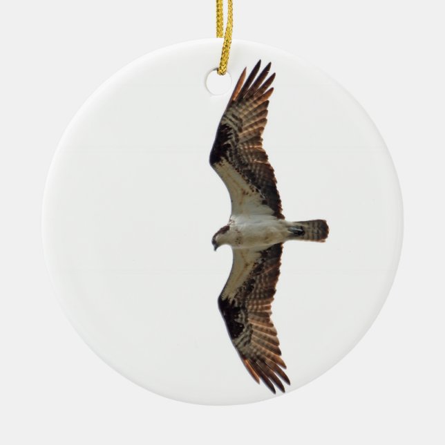 Osprey Flying Photo Ceramic Ornament (Front)