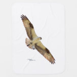 Osprey Hawk Flying Baby Blanket at Zazzle