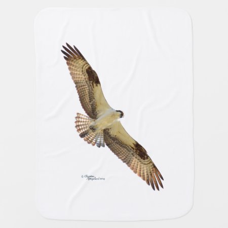 Osprey Hawk Flying Baby Blanket
