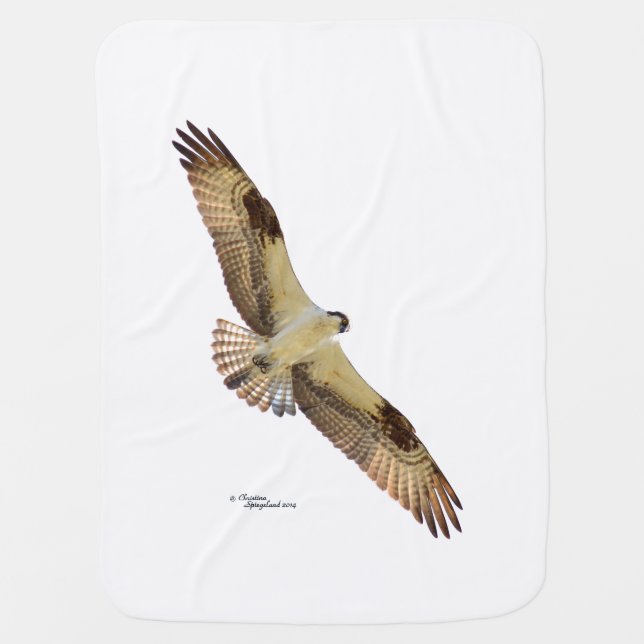 Osprey Hawk flying Baby Blanket (Front)