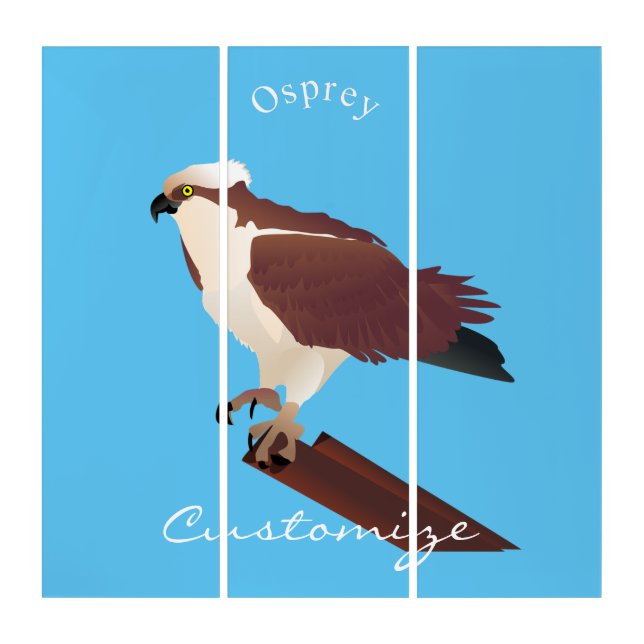 Osprey Hawk Raptor Thunder_Cove Triptych (Front)