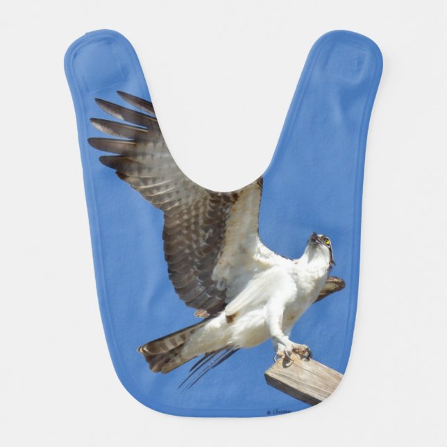 Osprey Hawk stretching wings Baby Bib (Front)