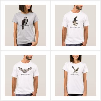 Osprey Hawk T-Shirts