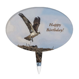 Osprey in a nest cake topper