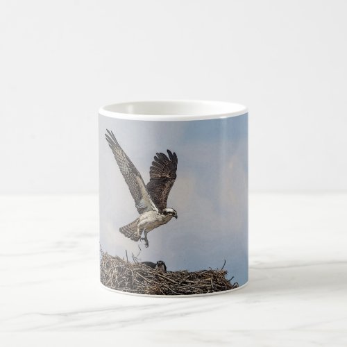 Osprey in a nest coffee mug