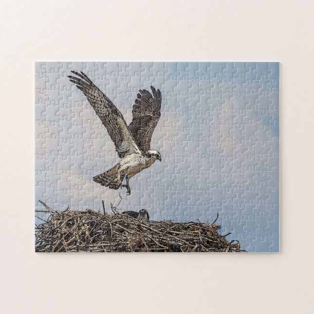 Osprey in a nest jigsaw puzzle (Horizontal)
