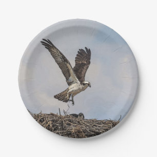 Osprey in a nest paper plates