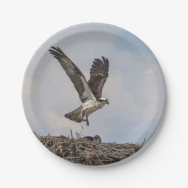 Osprey in a nest paper plates (Front)