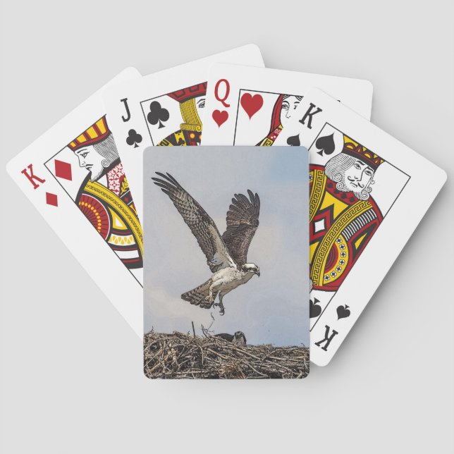 Osprey in a nest poker cards (Back)