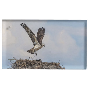 Osprey in a nest table card holder