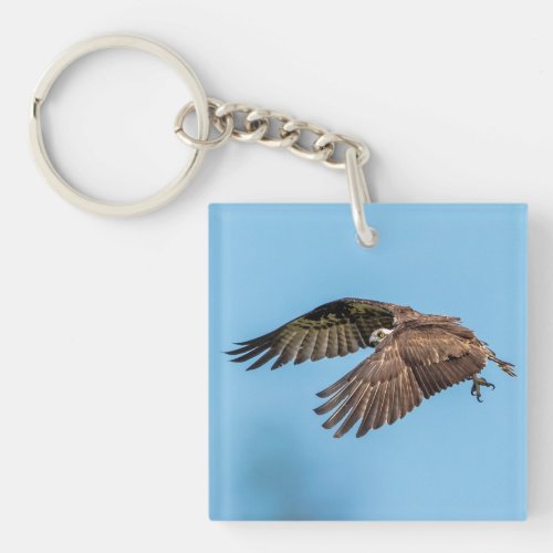 Osprey in flight at Honeymoon Island State Park Keychain