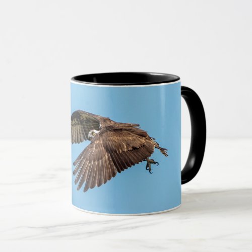 Osprey in flight at Honeymoon Island State Park Mug