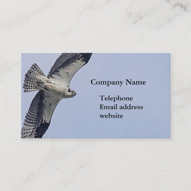 Osprey in flight business card (Front)