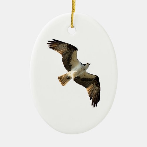 Osprey in Flight Logo Ceramic Ornament