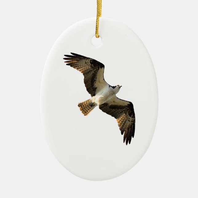 Osprey in Flight Logo Ceramic Ornament (Front)