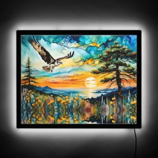 Osprey in flight over wildflowers at Sunset