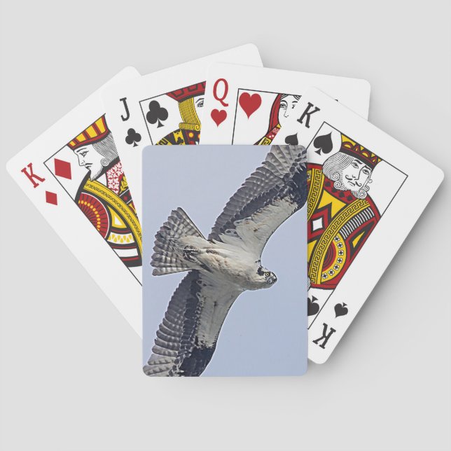 Osprey in flight poker cards (Back)