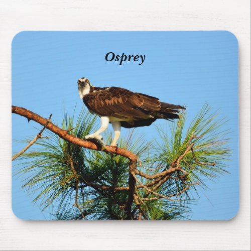 Osprey in the wild mouse pad