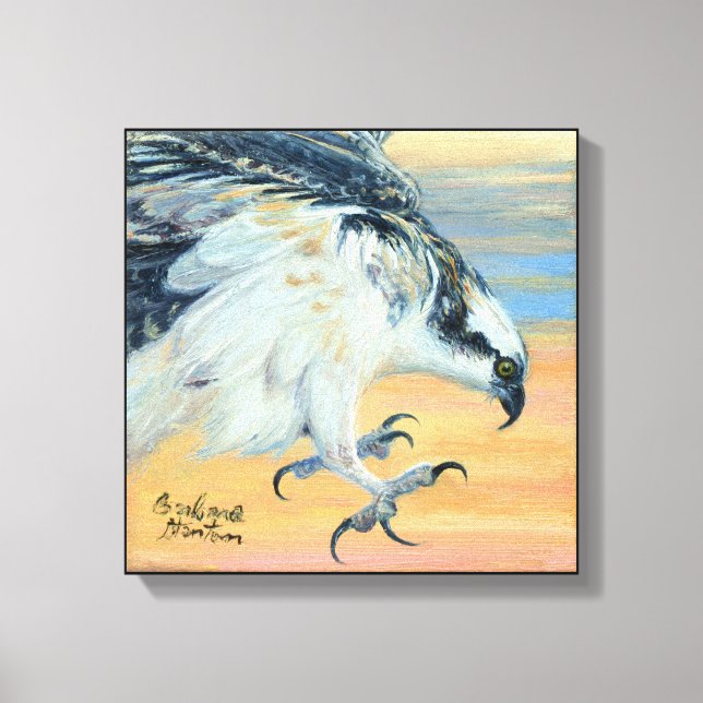 “Osprey Landing” Canvas Print (Front)