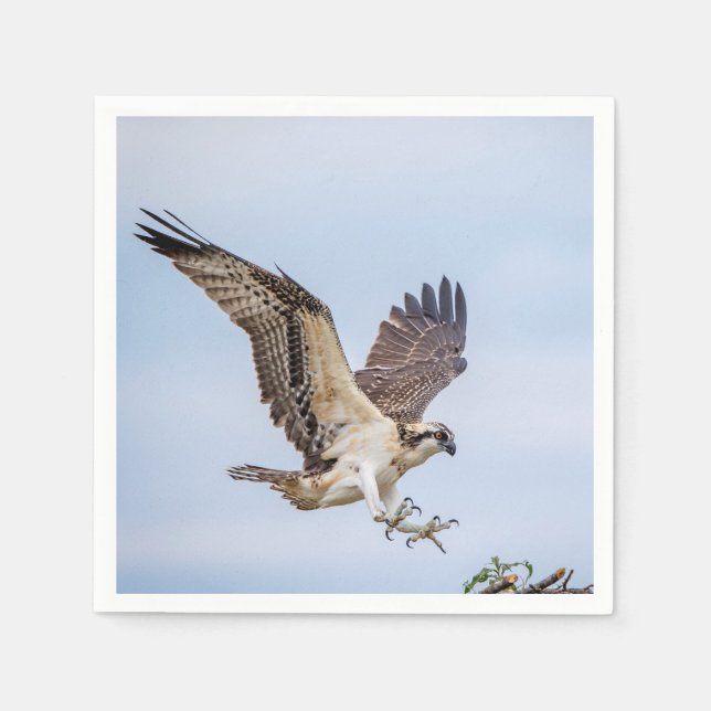 Osprey landing in the nest paper napkins (Front)
