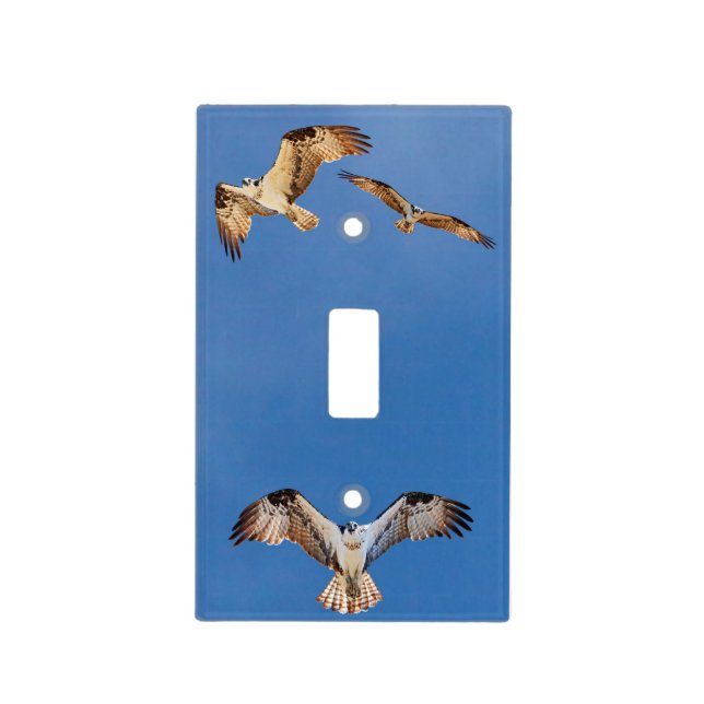 Osprey Light Switch Cover (Front)