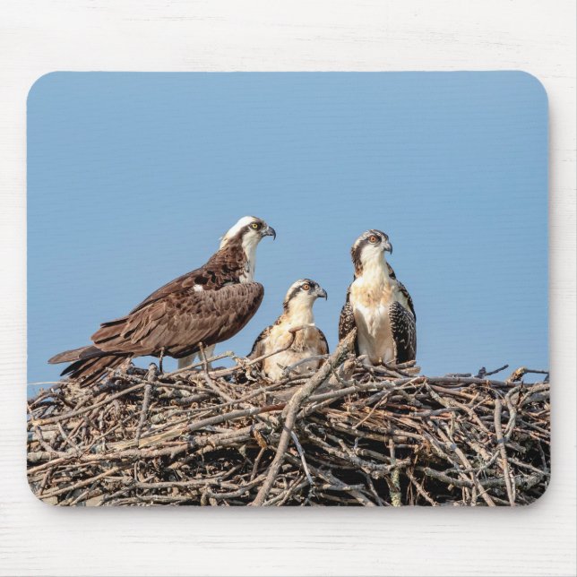 Osprey mom with her kids mouse pad (Front)