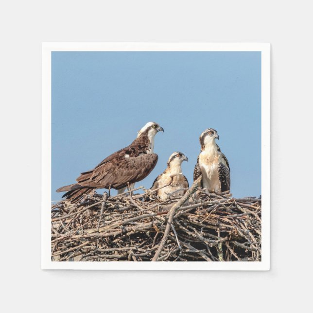 Osprey mom with her kids napkins (Front)