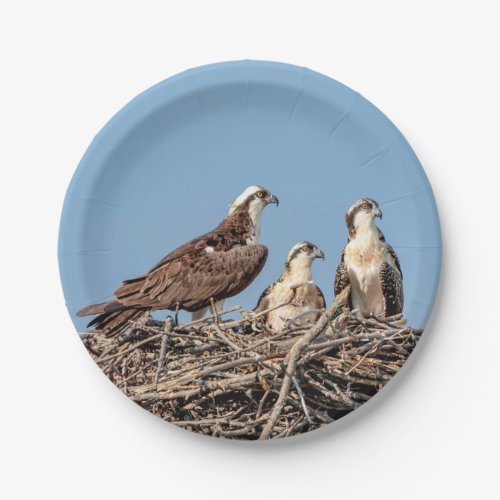 Osprey mom with her kids paper plates