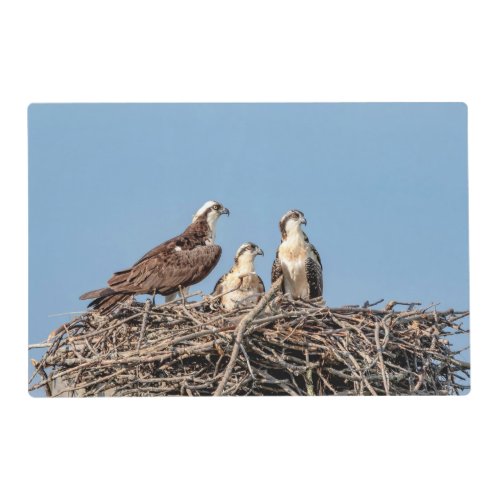 Osprey mom with her kids placemat