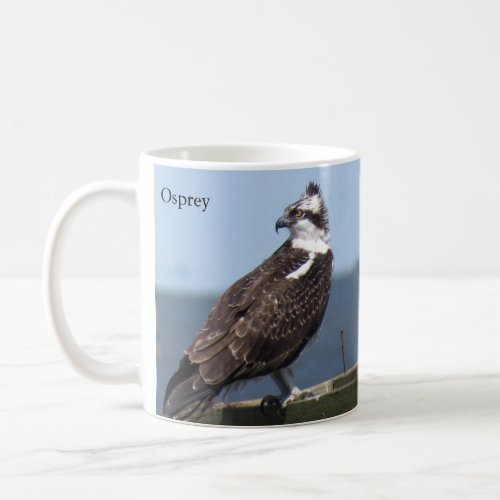 Osprey Mug by BirdingCollectibles