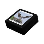 Osprey Nest Gift Box