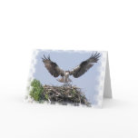 Osprey Nest Greeting Card