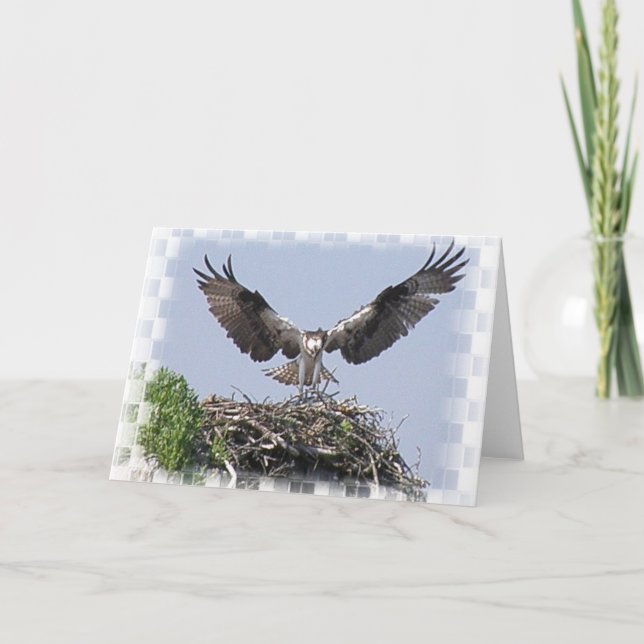 Osprey Nest Greeting Card (Front)