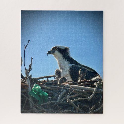 Osprey Nest with Babies Jigsaw Puzzle