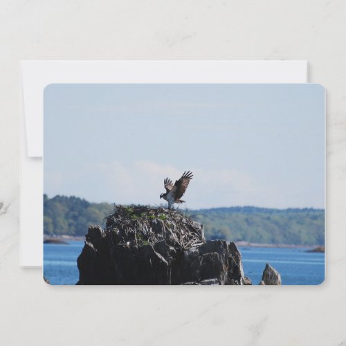 Osprey on Nest Invitation