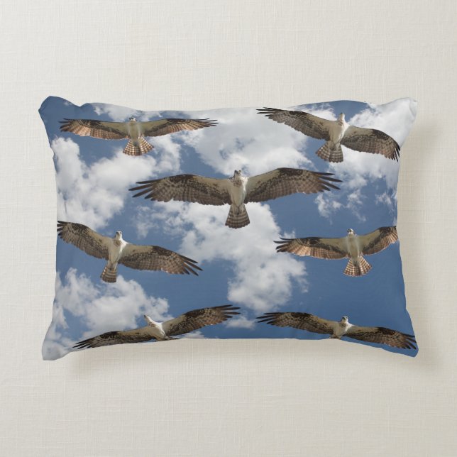 Osprey parade in the sky  accent pillow (Front)