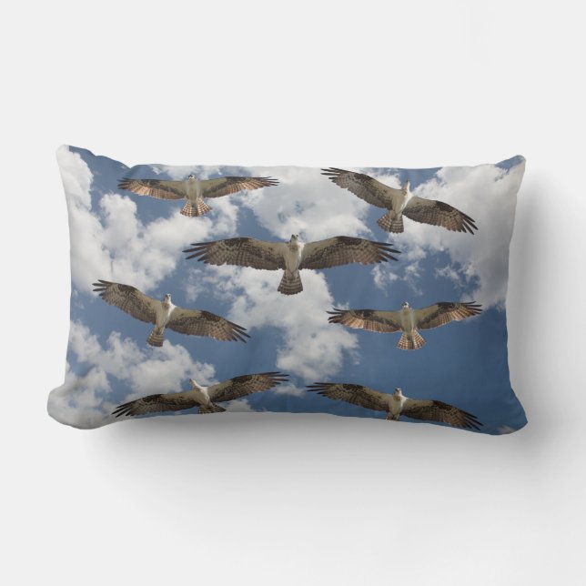 Osprey parade in the sky lumbar pillow (Front)