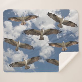 Osprey parade in the sky Sherpa fleece blanket