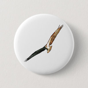 Osprey Pinback Button