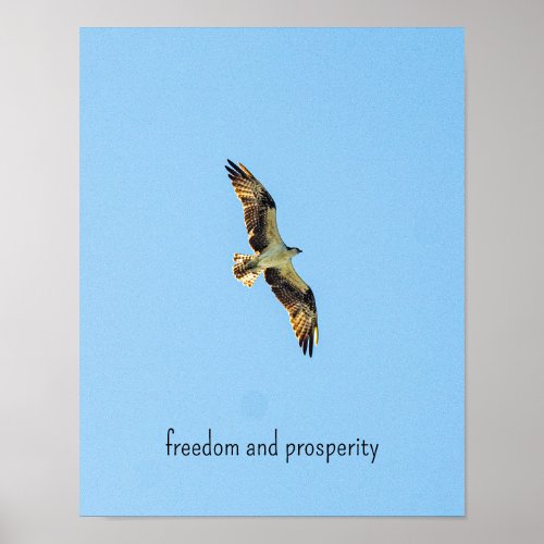 Osprey Poster