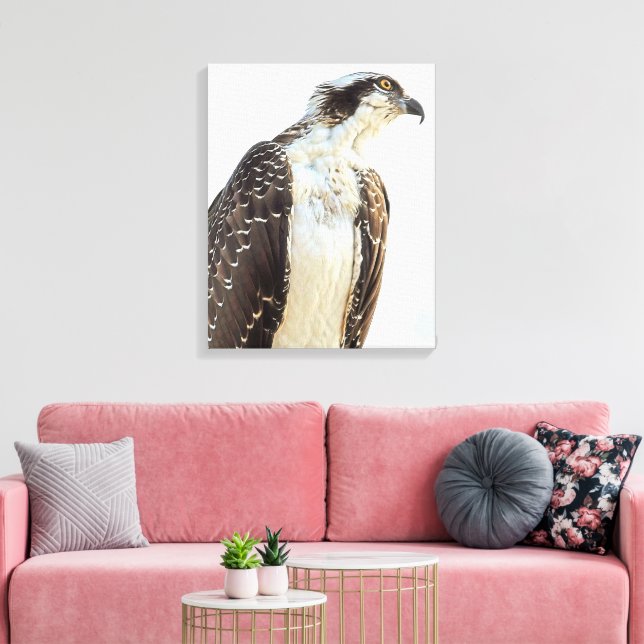 Osprey Profile Wrapped Canvas Print (Insitu(LivingRoom))