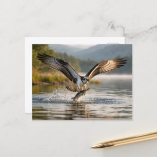 Osprey Scottish Highlands Misty Sunrise Fishing Postcard
