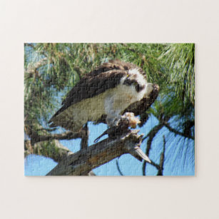 Osprey with a fish jigsaw puzzle