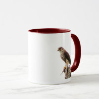 Osprey Personalised Mugs