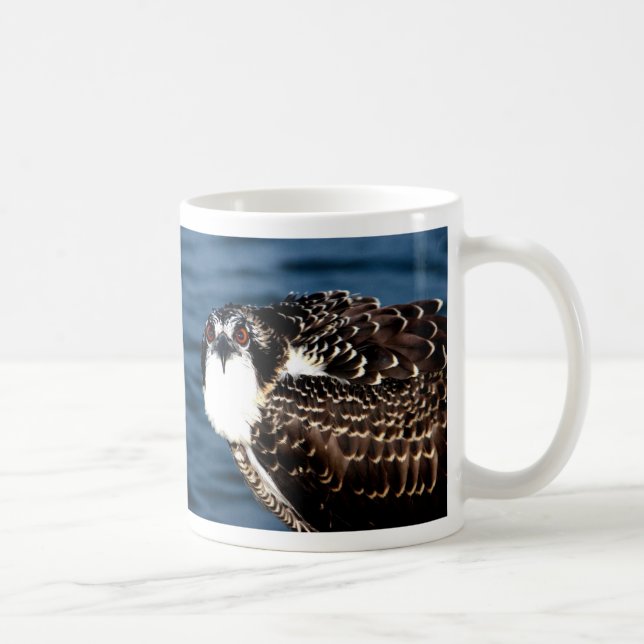 Osprey, Tilghman Island, Dogwood Harbor, Maryland Coffee Mug (Right)