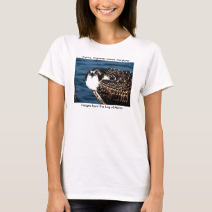 Osprey, Tilghman Island, Dogwood Harbor, Maryland T-Shirt