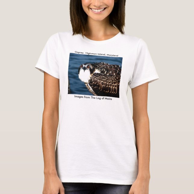 Osprey, Tilghman Island, Dogwood Harbor, Maryland T-Shirt (Front)